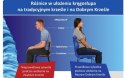 Entelo Duo Niebieski/Czarny VS06 rozmiar 5 - DOBRE KRZESŁO dla kręgosłupa, ortopedyczne - fotel obrotowy do biurka