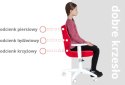 Entelo Duo Szary Storia 33 rozmiar 6 - Zdrowotne KRZESŁO dla kręgosłupa, ortopedyczne - fotel obrotowy do biurka dla dzieci
