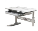 Biurko Fun Desk Tulipa Grey Regulowane biurko z nadstawką dla dzieci i młodzieży , pochylany blat Biały / Szary