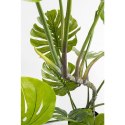 Kare Design KARE roślina dekoracyjna MONSTERA 110 cm