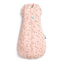 ErgoPouch ErgoPouch Otulacz Śpiworek 3-6M 2.5TOG Cute Fruit